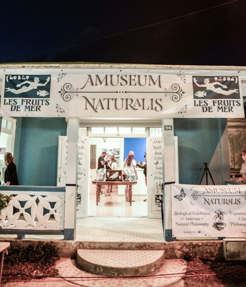 Les Fruits de Mer's free natural history museum will be open 6-10pm every Mardi de Grand Case. Visitors can see new additions to Les Fruits de Mer's free natural history museum every week. (Photo: Maël Renault)