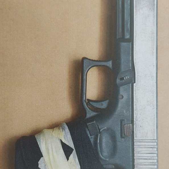 Firearm confiscated in domestic violence incident
